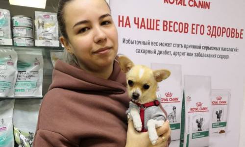 Резекция бедренной кости